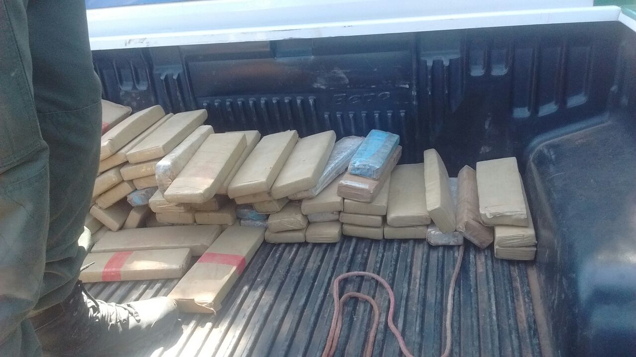 Polícia apreende mais de 80kg de maconha em Gilbués