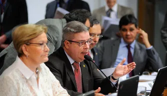 O senador Anastasia foi relator de projeto que estabelece o voto distrital misto.