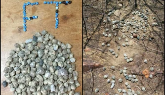 Drogas apreendidas pela polícia.