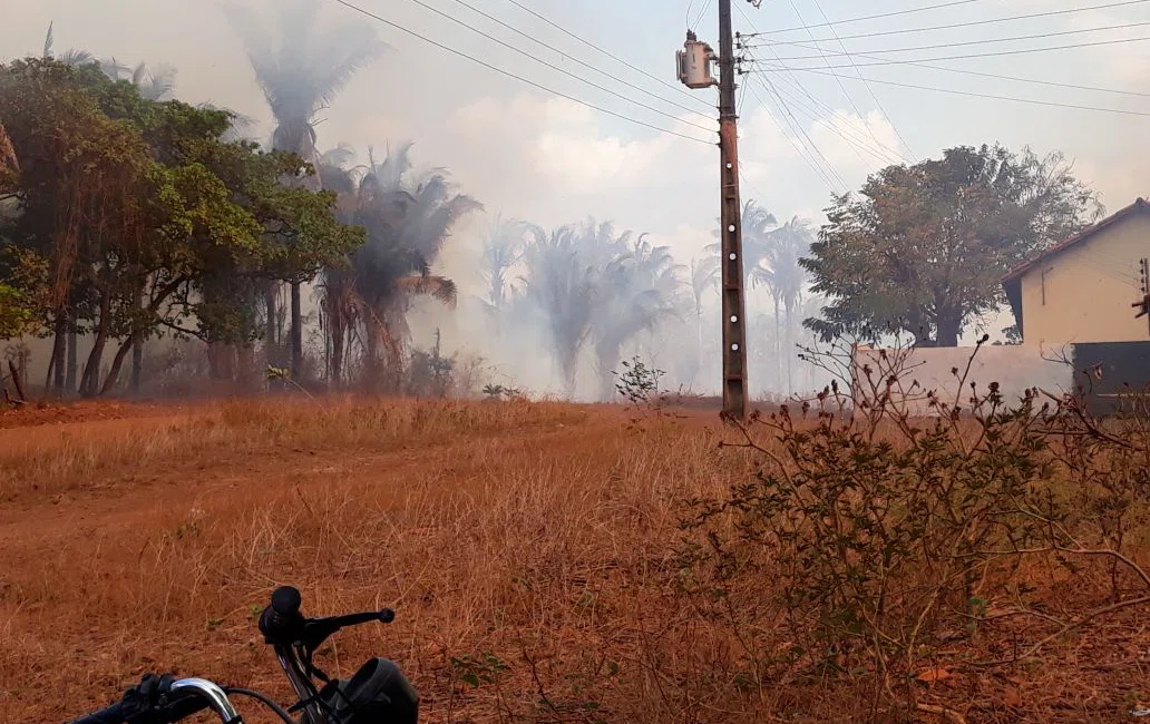 Incêndio do carro atinge mata ao redor.