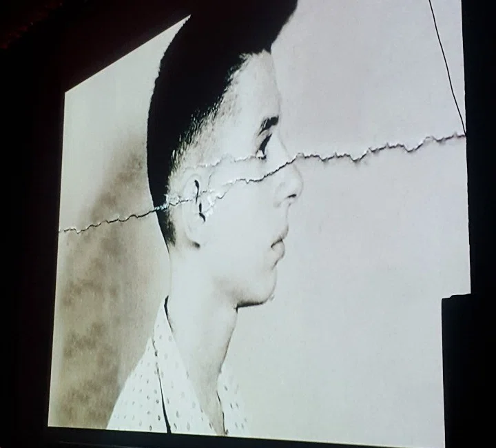 Exibição do documentário "Torquato Neto -Todas as horas do fim"