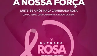 2ª Caminhada Rosa
