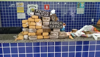 Drogas apreendidas na residência