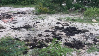 Relatório foi divulgado