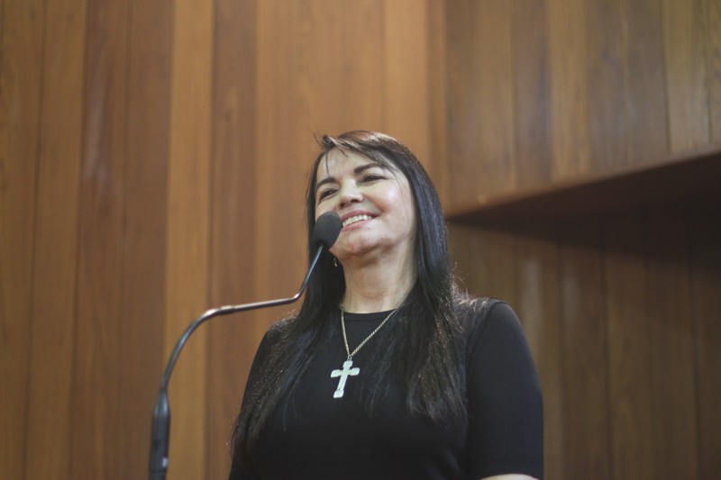Teresa Britto anuncia projetos.