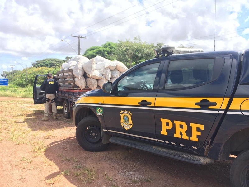 Carga de carvão vegetal foi apreendida pela PRF na BR-343.