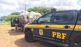 Carga de carvão vegetal foi apreendida pela PRF na BR-343.