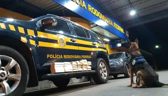 O homem foi preso pela PRF transportando mais de 25 kg de cocaína na BR-230.