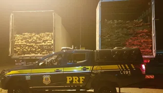 Agentes da PRF apreenderam uma carga de madeira sem licença ambiental na BR-316.
