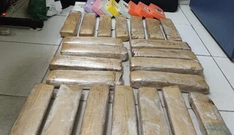 Os entorpecentes foram apreendidos pela Polícia Civil dentro de um ônibus interestadual.