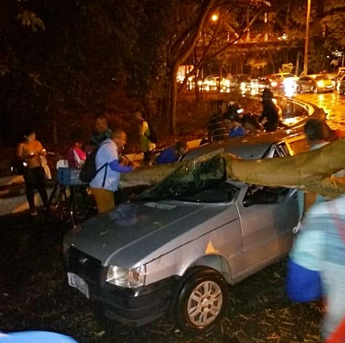 Árvore caiu em cima do carro na Ponte Metálica.