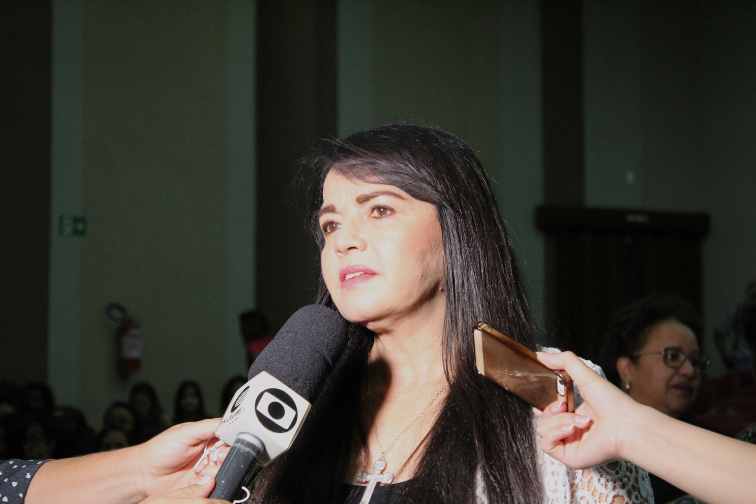Deputada Teresa Britto em audiência pública sobre a situação da UESPI.