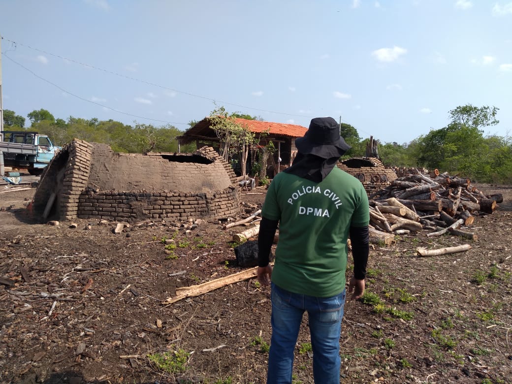 Carvoaria clandestina em Altos-PI