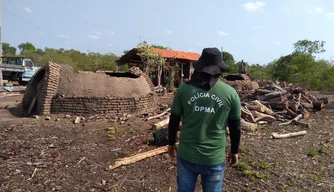Carvoaria clandestina em Altos-PI