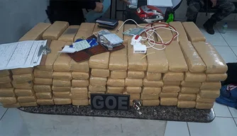 As drogas, de aproximadamente 100 kg, estavam avaliadas em R$ 30 mil