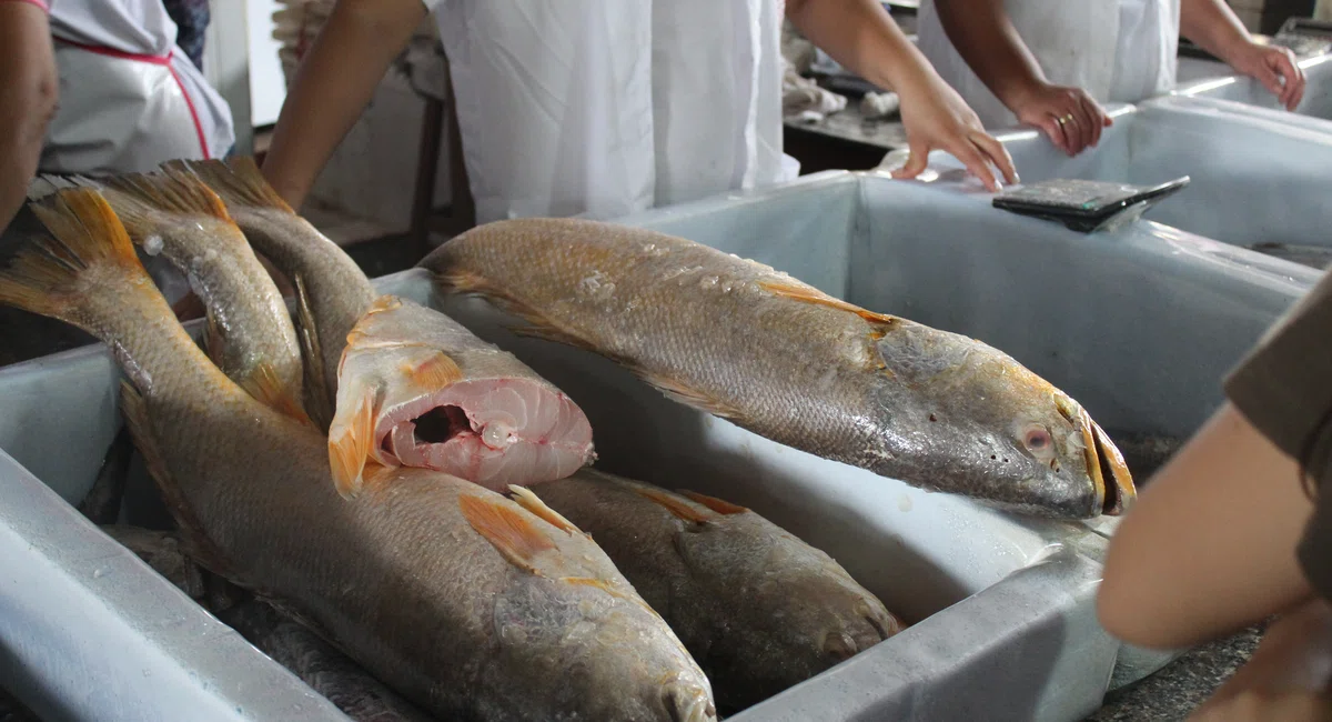 Mercado do Peixe de Teresina