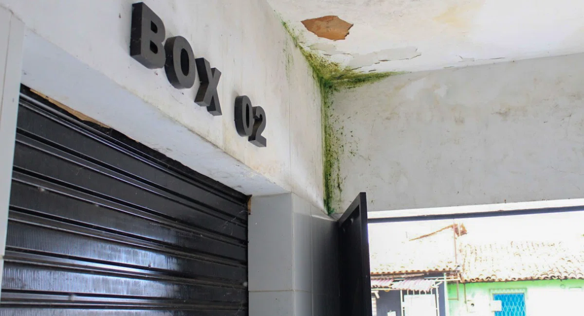 Degradação Mercado do peixe