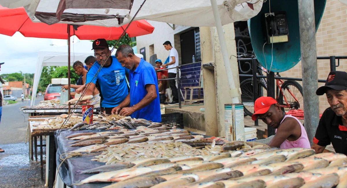 Mercado Do Peixe