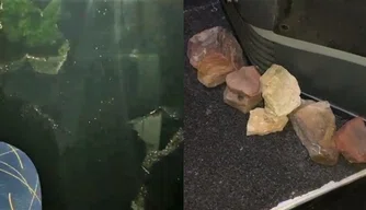 Torcedores de Picos são agredidos após jogo na cidade de Parnaíba