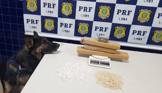 PRF apreendeu carregamento de drogas avaliado em 40 mil reais