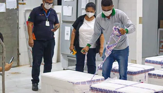 Piauí recebe 60.050 doses de vacinas contra a Covid-19.