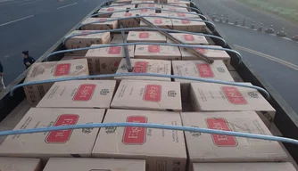 Carga de cigarros apreendida pela PRF em Piracuruca.