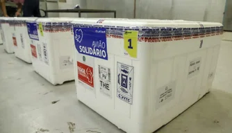 Os imunizantes serão enviados aos municípios nos próximos dias.