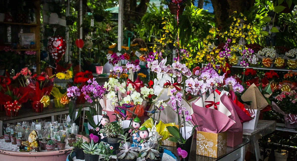 Venda de flores no Shopping natureza