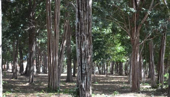 Parque Ambiental