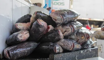 Mercado Do Peixe