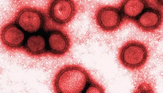 Influenza H3N2