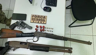 Material apreendido pela Força Estadual Integrada de Segurança Pública.