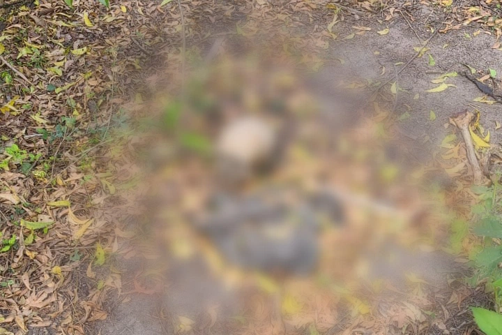 Ossada Humana é encontrada no bairro Pedra Mole, zona Leste de Teresina