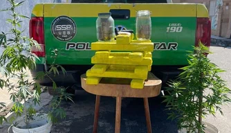 Apreensão realizada na zona Sul de Teresina