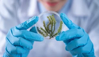Imagem ilustração - Biotecnologia
