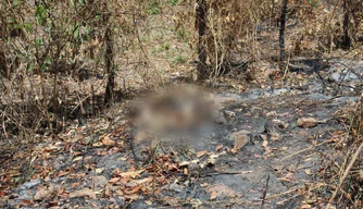 Ossada Humana é encontrada na avenida Josué de Moura Santos