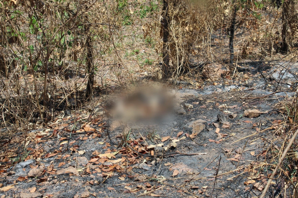 Ossada Humana é encontrada na avenida Josué de Moura Santos