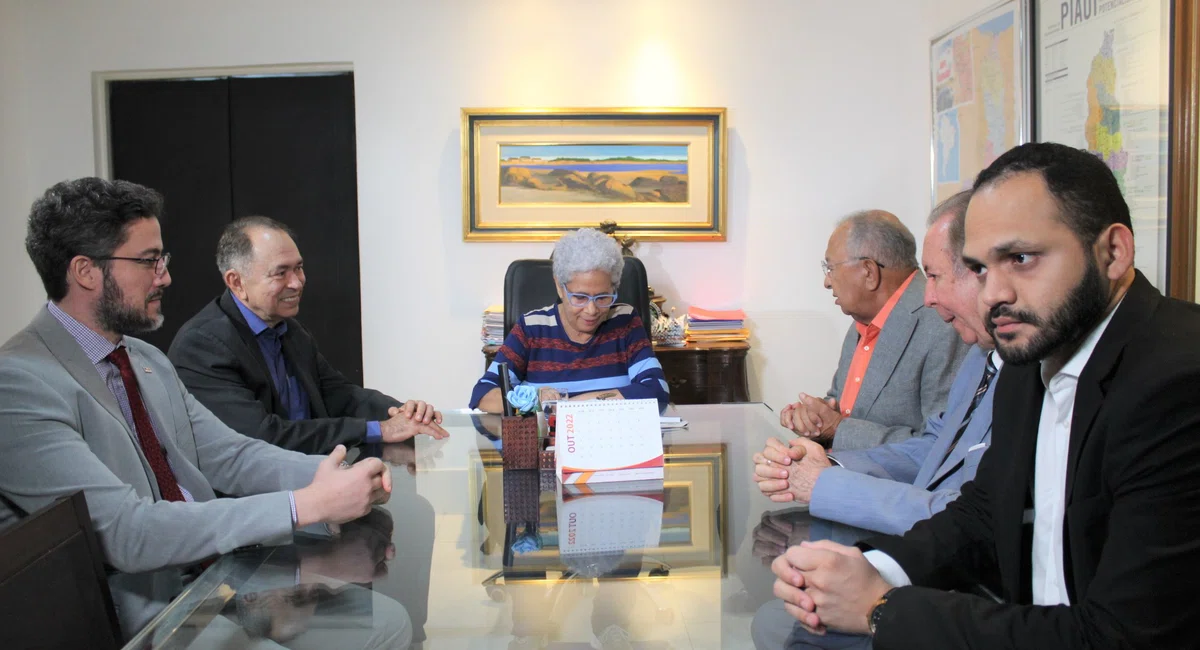 Governadora Regina Sousa se reúne com Dr. Pessoa