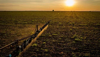 Solos brasileiros; agricultura; IBGE; Mapa;