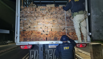 PRF apreende grande carga de madeira ilegal na cidade de Floriano