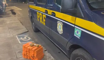 Tabletes de maconha apreendidos