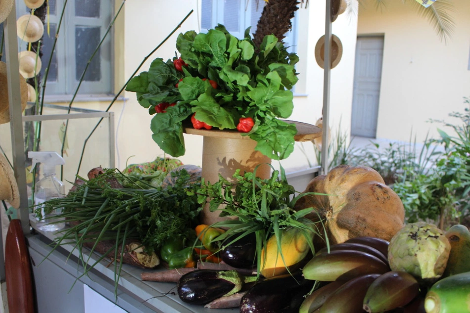 Alimentos destinados à merenda escolar