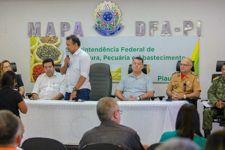 Piauí cria grupo técnico para prevenir e combater gripe aviária.