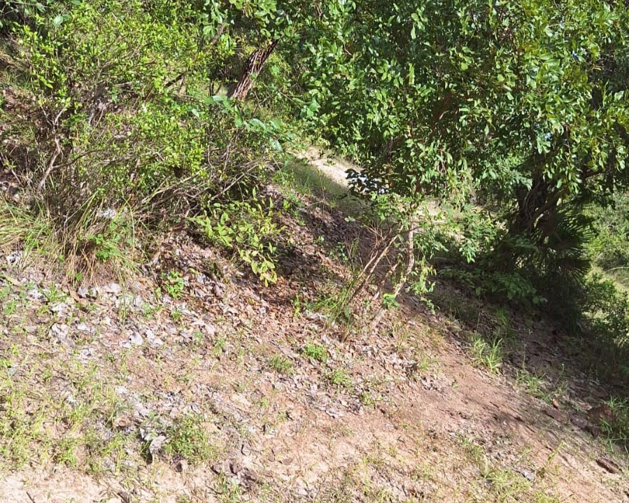Corpo de jovem é encontrado às margens da estrada entre José de Freitas