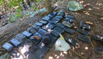 PM apreende droga avaliada em mais de R$ 150 mil na zona Norte de Teresina