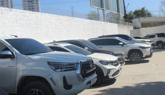 Ao todo, 22 carros foram presos na operação
