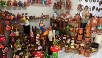 Artesanato em Polo Cerâmico no Poty Velho