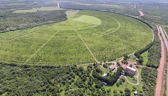 Tabuleiros Litorâneos