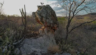 Governo cria área de proteção ambiental do Vale dos Buritis e Carnaubais