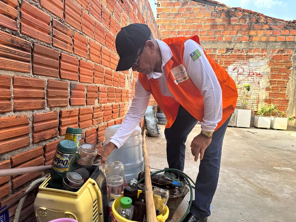 Combate à dengue